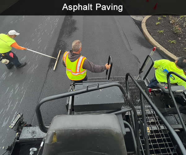 Local Asphalt Company
